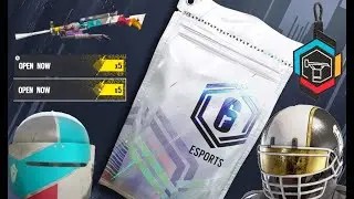 Final Esports Packs 10 Packs, Pro League Skins-Rainbow Six Siege