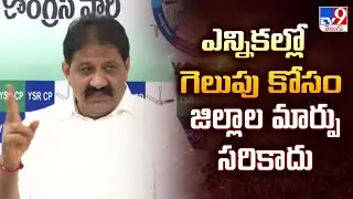 ఎన్నికల్లో గెలుపు కోసం జిల్లాల మార్పు సరికాదు : Rachamallu Siva Prasad Reddy - TV9
