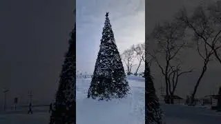 19.01.2026 Сборник#1 Набережная реки Амур 