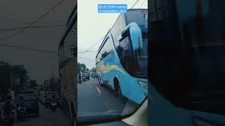 BLUE STAR melaju di kepadatan jalan #bismania #buspariwisata #shorts