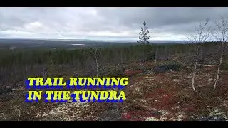 Trail running 2019.  От Ловозера до озера и обратно.