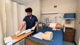 Female/Male Straight/Foley Catheter 