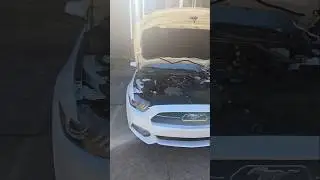 Spark coils replacement on 2015 ecoboost Mustang #Mustang #spark plugs