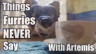 Things Furries NEVER Say