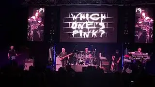 Which One's Pink? (A Tribute to Pink Floyd) [August 8, 2025]