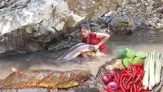 Tuna fish | Enjoy the big fish | Fish Lovers
