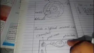 Science class 6th unit 1 cellular organization of plants and animals  lecture 1