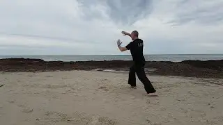 Tai Chi in Adelaide - Yang 112 Form, Section 3