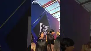 Famous Celebs Amazing Red Carpet Moments TikTok: bbbellaaa