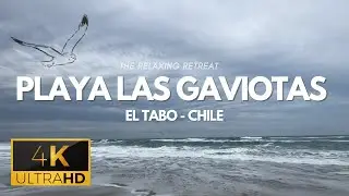 Costas Encantadoras de Chile - Playa las gaviotas, el Tabo