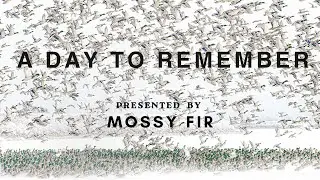 A Day to Remember | An Iowa Blizzard Turns Into Thousands of Mallards Cupped Above Us.