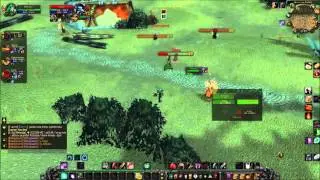 Druid resto 19 lvl twink WoW WotLK