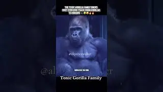 Toxic Gorilla Family sends message to humans 🤷🏾&zwj;♂️🤣😂🔥#alquincewalker #toxicgorillafamily