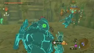 Korok Seed 308, Forgotten Temple | The Legend of Zelda: Tears of the Kingdom