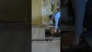 Вскрыл старый пол, А ТАМ???😮 #домвдеревне #ремонт