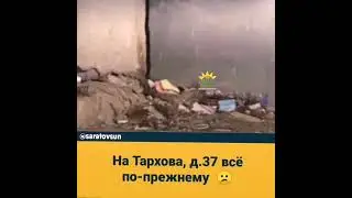 Крысы на Тархова д  37