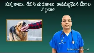 Dog bite...rabies deaths! Is it because of ineffective vaccinations?