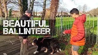 Beautiful Ballinteer - Dublin, Ireland | Ro Vlogs #53