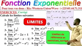 LIMITES Exponentielle Népérienne||Les limites de références et limites.codes et secrets.