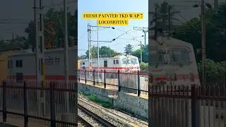 Fresh Painted TKD Shed Wap 7 Locomotive 🔥 #indianrailways #train #wap7 #virals #shorts #trend #video