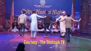 Ansar elahi latest chitrali song 2020 - Chitrali latest songs 2020 - The Shahzaib Tv