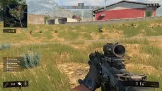 Call of Duty&reg;: Black Ops 4 Private Beta gold guns in blackout?