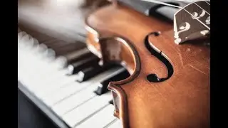 Hoffmeister, Konzert f&uuml;r Viola, Allegro moderato. Stas Sagdeyev - H. Freitag. Interlaken classics