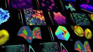 Raman Microscopy RAMACLE&reg; Software Highlights (Various)