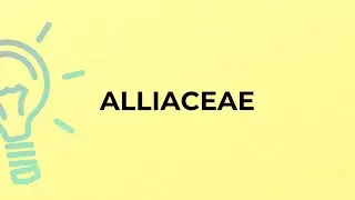 What is the meaning of the word ALLIACEAE?