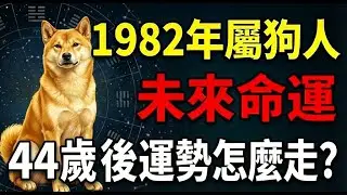 1982年屬狗人的未來命運，2026年44歲後，運勢怎麼走？#1982年屬狗 #屬狗2026運勢 #2026生肖狗運程 #1982年生肖狗 #生肖狗 #屬狗 #屬狗性格 #生肖狗命運 #1982年狗