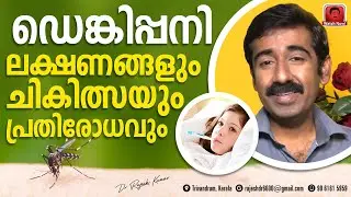 dengue symptoms treatment and prevention