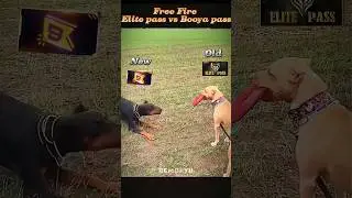 Free Fire Old Elite pass vs New booya pas 🥺😭#viralvideo #freefire #shorts #viralshort
