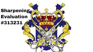 Shear Sharpening Evaluation 313231 - Passed! | Bonika Shears