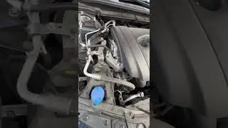 Rumore motore Mazda