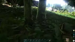ARK Survival (PS4)Собираюсь рейдить PVP сервер,присоединяйся!