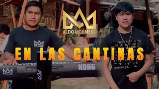 En las cantinas - Aldo Mormend