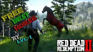 STOP Wasting Time on Bad Horses! Best Early Horse is Red Chestnut Arabian RDR2 (2025)