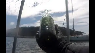 New 2025: Short-Toohey's Stag Pictorial Beer, Brooklyn NSW : Hunt for old bottles in the Water