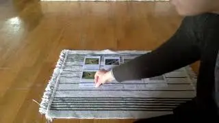 Life cycle of a Frog using 3 part cards