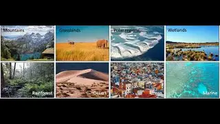 Food Chains and Habitats (Science) CORRECTION [Part I] Movers #STAYATHOME