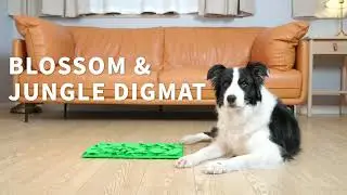 All for paws - Jungle & Blossom Digmat