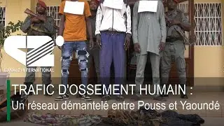 TRAFIC D'OSSEMENT HUMAIN : Un r&eacute;seau d&eacute;mantel&eacute; entre Pouss et Yaound&eacute;