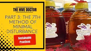 The 7 Methods of Minimal Disturbance//Method #7//Sustainable Beekeeping