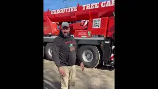 Always Look to See if Your Tree Care Company Are Certified Arborist-Here's Why