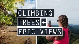 Treetop Climbing in Monteverde | Driving from Monteverde to Uvita | Costa Rica