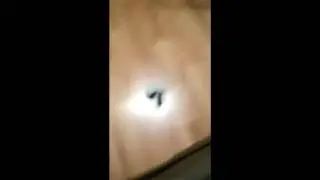 приобретение duxe ru магазин