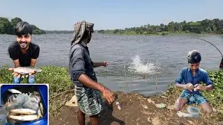 Fishing Videos | Kochi Kerala River Fishing | Hook Fishing 