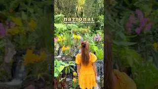 World's Best National Orchid Garden is in Singapore 🇸🇬