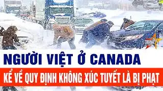 Mùa Đông của người Việt tại Canada: Tuyết không dọn, đóng tiền phạt