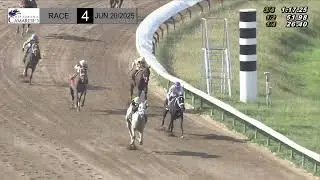 CARRERA 4 - 20/JUNIO/2025 (PULIN&rsquo;S LEGACY)